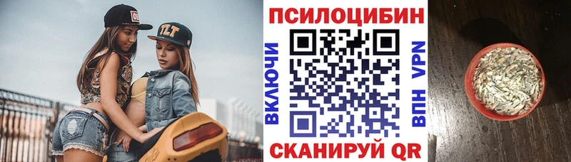 сайты даркнета телеграм mega маркетплейс Усть-Джегута магазин продажи Галлюциногенные грибы Magic Shrooms