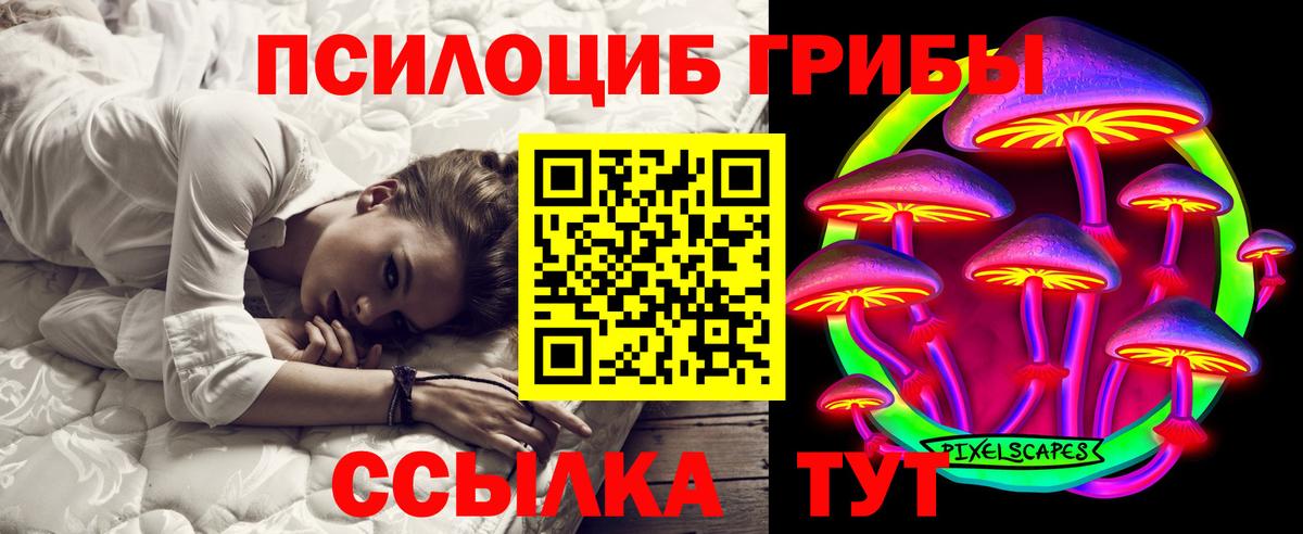 Псилоцибиновые грибы Psilocybine cubensis Усть-Джегута