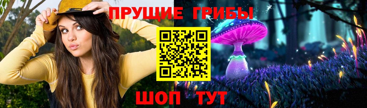 Псилоцибиновые грибы ЛСД  Вход с VPN  Усть-Джегута 